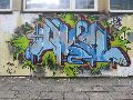 male_oswiecim08%20080.jpg